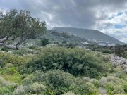 Kokkino Chorio Grundstück mit Meerblick in berühmter Gegend auf Kreta Grundstück kaufen